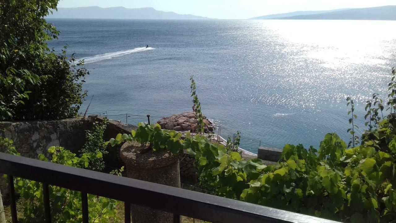 Helena Senj (Lika-Senj)